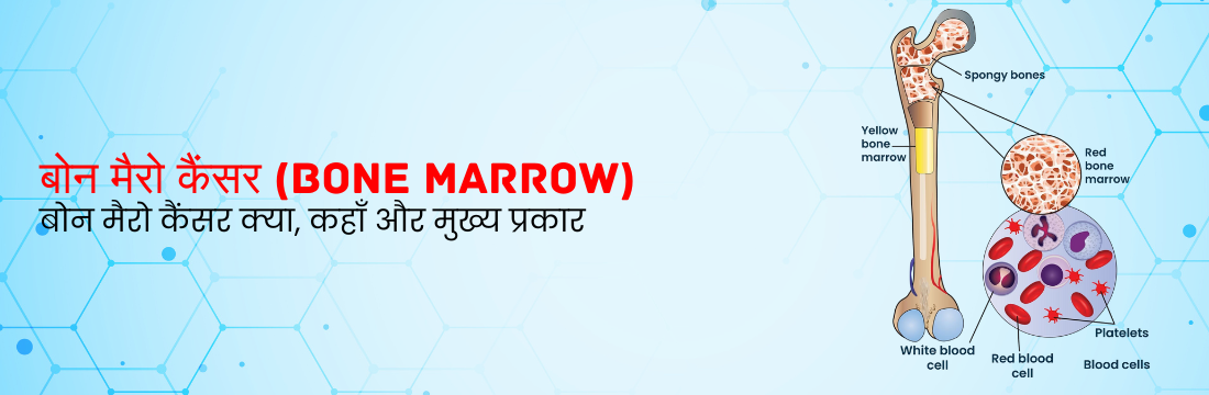 बोन मैरो कैंसर क्या होता है - Bone Marrow Kya Hota Hai Hindi Mei